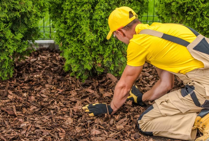 Breng uw tuin nieuw leven in:22 bodemverbeteringstechnieken voor een bloeiende achtertuin 