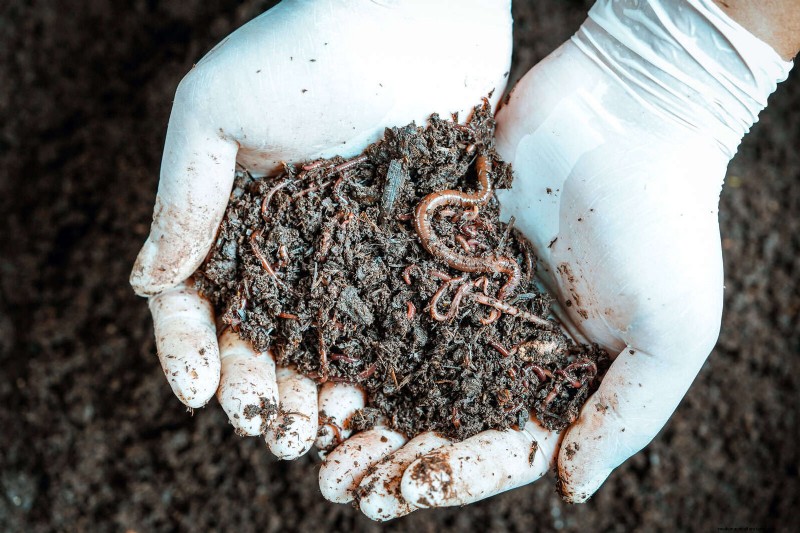 Breng uw tuin nieuw leven in:22 bodemverbeteringstechnieken voor een bloeiende achtertuin 