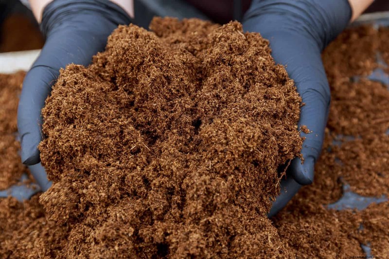 Breng uw tuin nieuw leven in:22 bodemverbeteringstechnieken voor een bloeiende achtertuin 