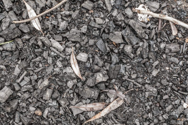 Breng uw tuin nieuw leven in:22 bodemverbeteringstechnieken voor een bloeiende achtertuin 