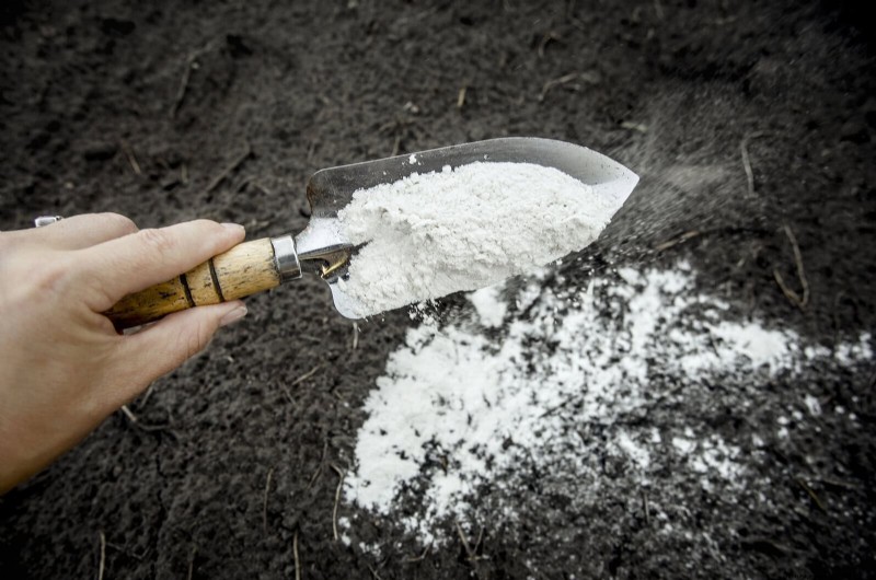 Breng uw tuin nieuw leven in:22 bodemverbeteringstechnieken voor een bloeiende achtertuin 