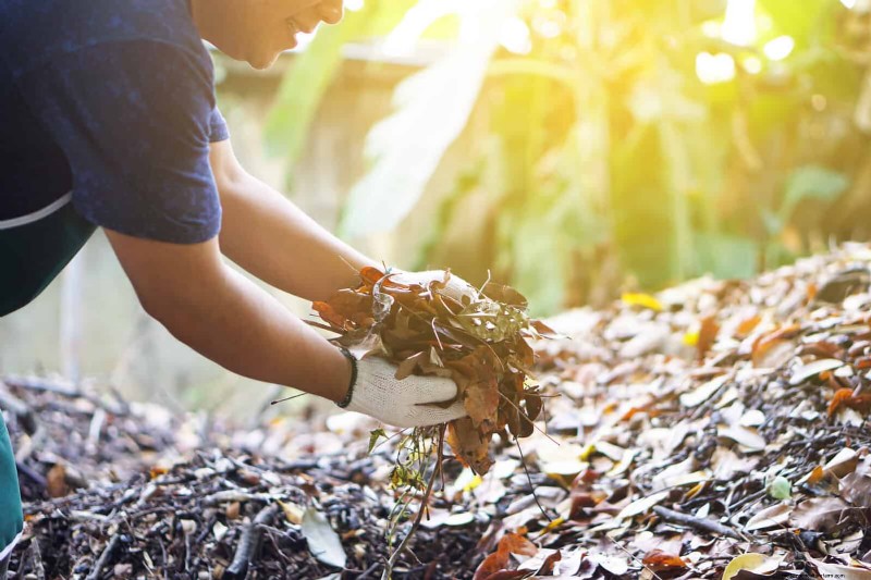 Breng uw tuin nieuw leven in:22 bodemverbeteringstechnieken voor een bloeiende achtertuin 
