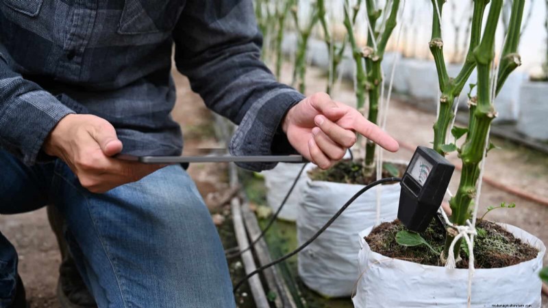 Breng uw tuin nieuw leven in:22 bodemverbeteringstechnieken voor een bloeiende achtertuin 
