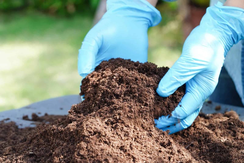 Breng uw tuin nieuw leven in:22 bodemverbeteringstechnieken voor een bloeiende achtertuin 
