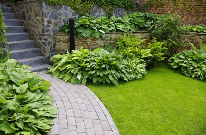 Pflegeleichte Randpflanzen:25 schöne Möglichkeiten für mühelose Gartenbeete 