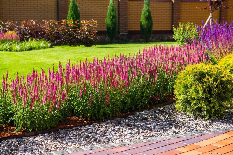 Pflegeleichte Randpflanzen:25 schöne Möglichkeiten für mühelose Gartenbeete 