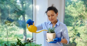 Acqua dura e piante sensibili:24 segni di stress minerale 