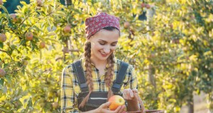 Vermeiden Sie diese 30 häufigen Gartenfehler:Ein Leitfaden für Anfänger 