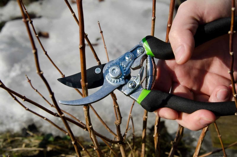 ガーデニングでよくある 30 の間違いを避けてください:初心者ガイド 