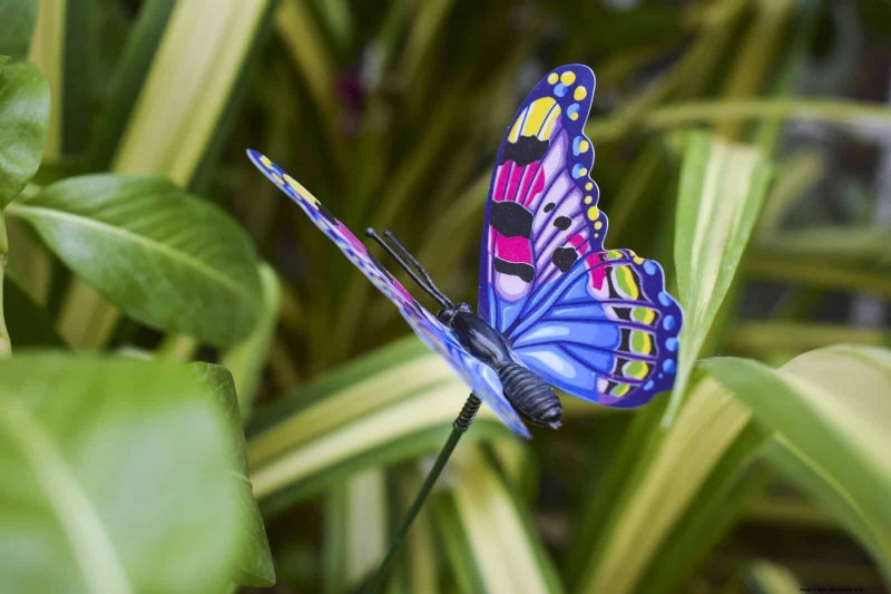 Transformeer uw tuin:30 eenvoudige landschapsideeën voor het barbecueseizoen 