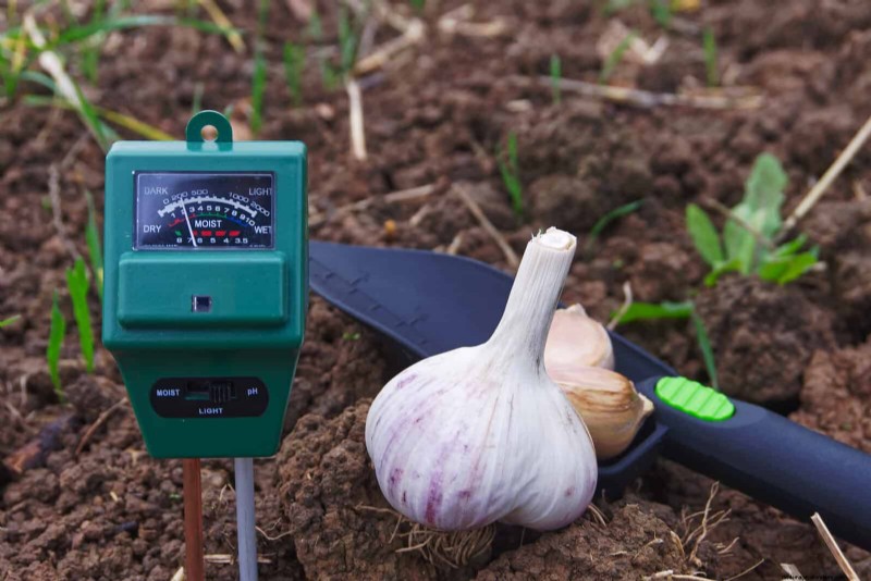Kesalahan Umum Berkebun Musim Semi &Cara Menghindarinya 