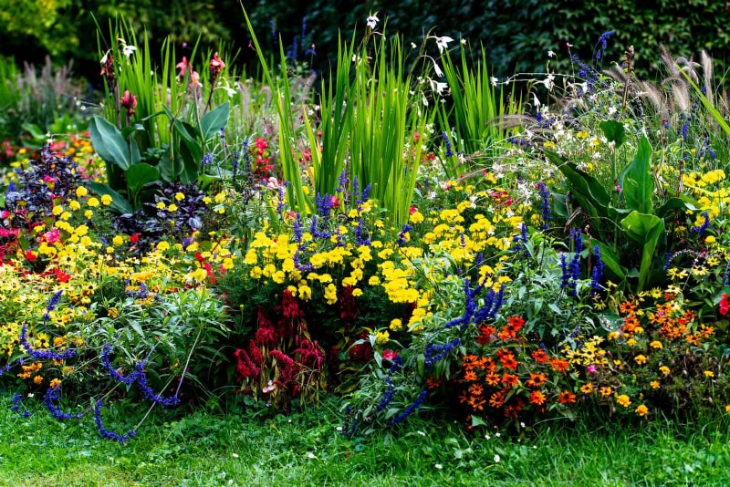 Kesalahan Umum Berkebun Musim Semi &Cara Menghindarinya 