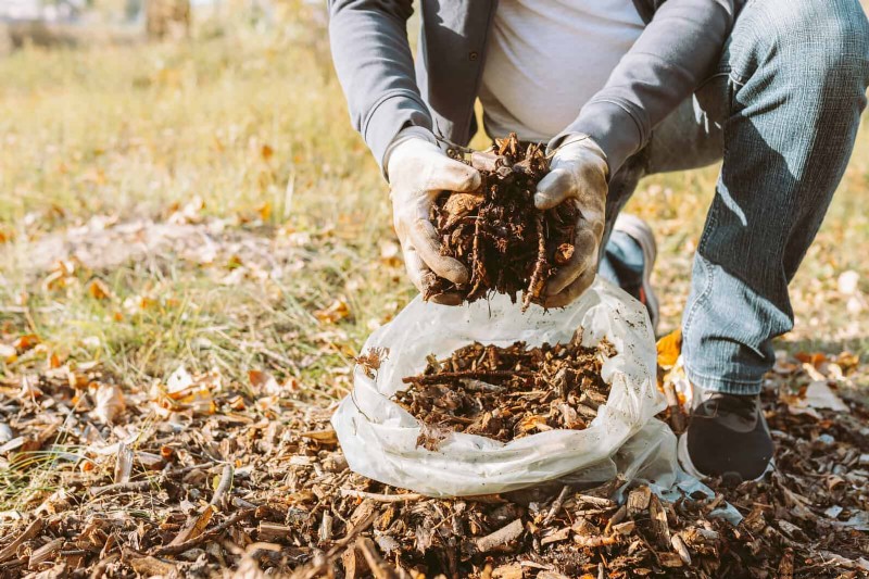 Kesalahan Umum Berkebun Musim Semi &Cara Menghindarinya 