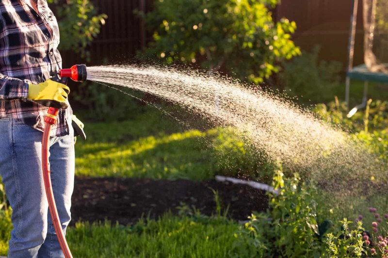 Kesalahan Umum Berkebun Musim Semi &Cara Menghindarinya 