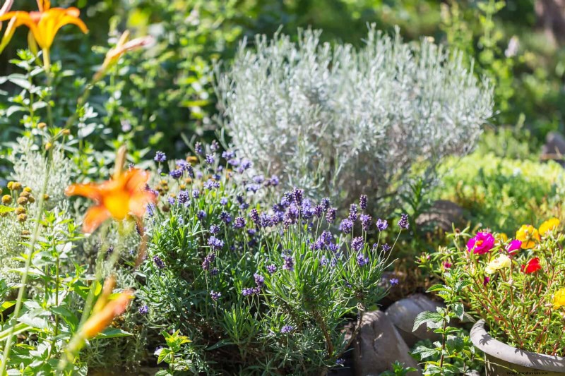 Kesalahan Umum Berkebun Musim Semi &Cara Menghindarinya 