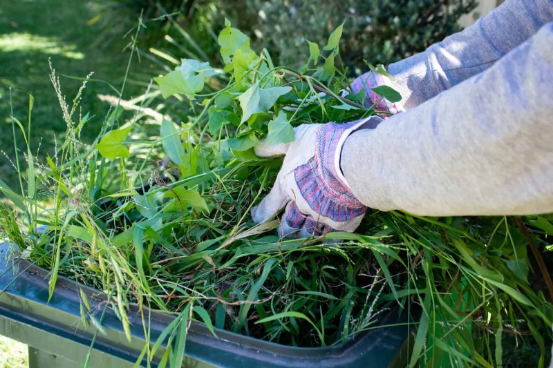 Kesalahan Umum Berkebun Musim Semi &Cara Menghindarinya 
