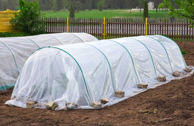 Kesalahan Umum Berkebun Musim Semi &Cara Menghindarinya 