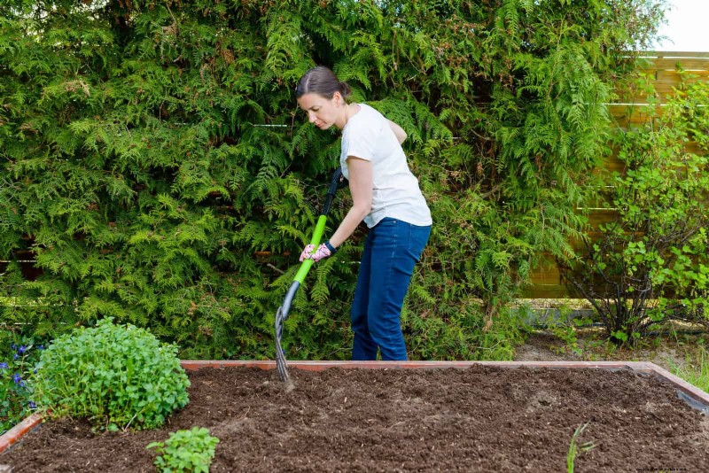 Kesalahan Umum Berkebun Musim Semi &Cara Menghindarinya 