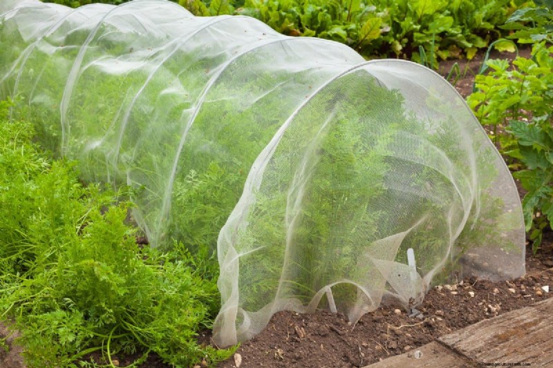 Bescherm uw tuin tegen tornado s  s nachts:25 essentiële stappen 