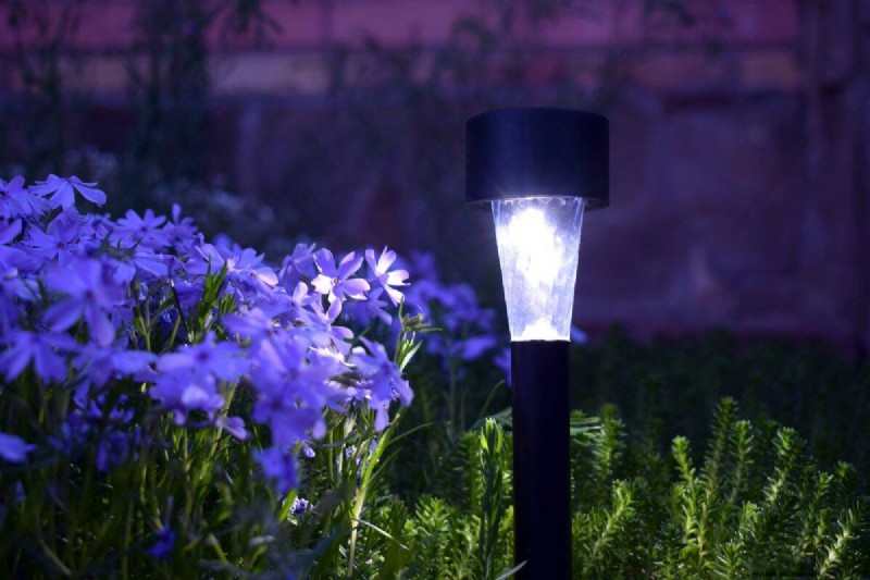 Bescherm uw tuin tegen tornado s  s nachts:25 essentiële stappen 