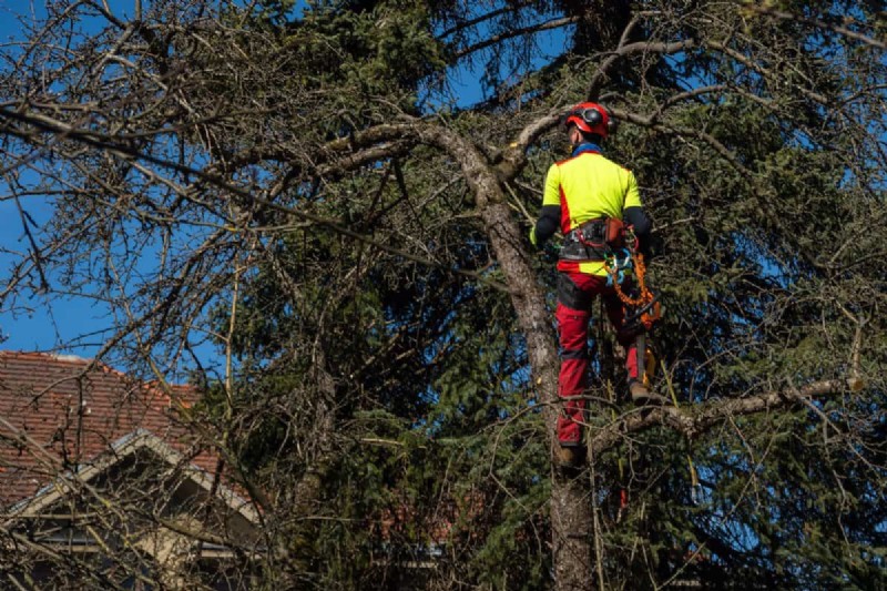 Bescherm uw tuin tegen tornado s  s nachts:25 essentiële stappen 