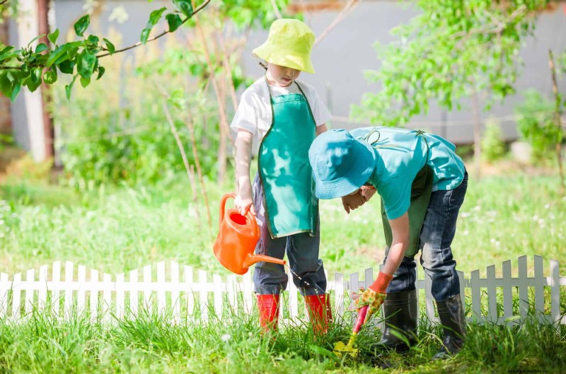Duurzaam gazononderhoud:hittegolven en droogte overleven - tips van experts 