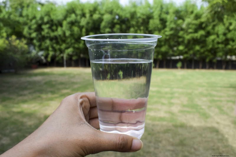 Duurzaam gazononderhoud:hittegolven en droogte overleven - tips van experts 