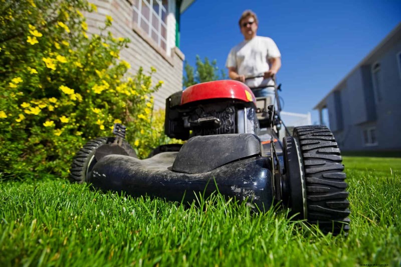 Duurzaam gazononderhoud:hittegolven en droogte overleven - tips van experts 