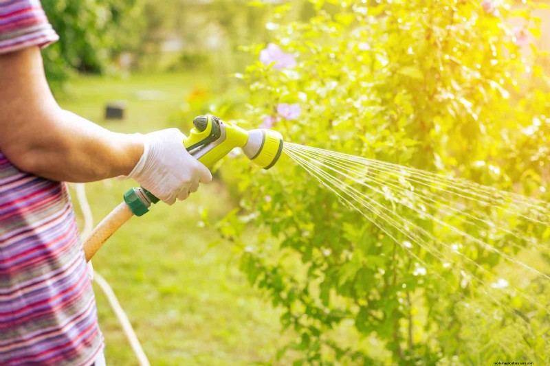Duurzaam gazononderhoud:hittegolven en droogte overleven - tips van experts 