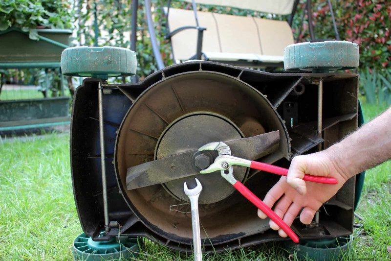 Duurzaam gazononderhoud:hittegolven en droogte overleven - tips van experts 