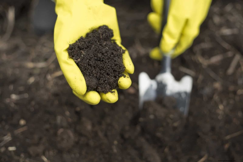 Duurzaam gazononderhoud:hittegolven en droogte overleven - tips van experts 