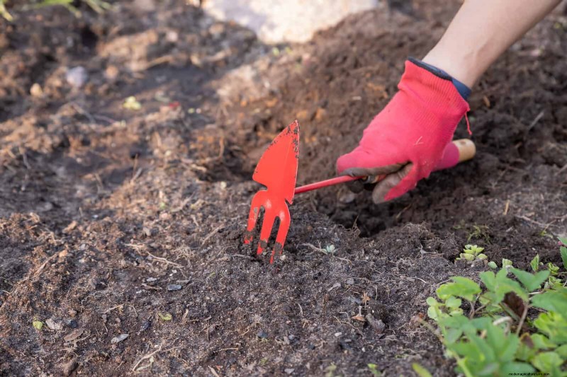 Duurzaam gazononderhoud:hittegolven en droogte overleven - tips van experts 