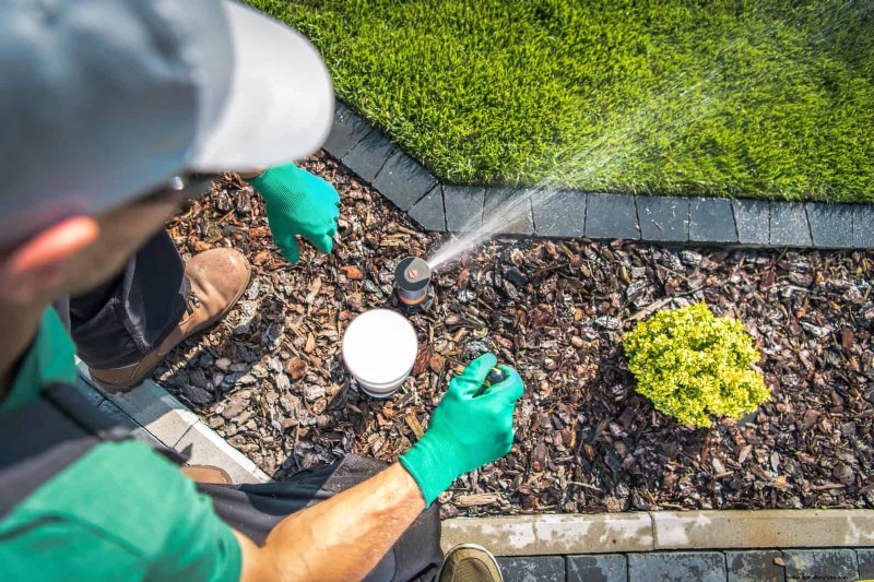 Duurzaam gazononderhoud:hittegolven en droogte overleven - tips van experts 