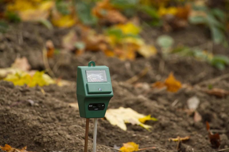 Duurzaam gazononderhoud:hittegolven en droogte overleven - tips van experts 