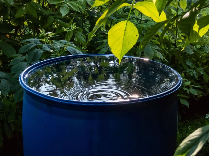 Duurzaam gazononderhoud:hittegolven en droogte overleven - tips van experts 