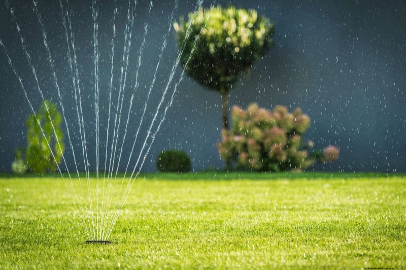 Duurzaam gazononderhoud:hittegolven en droogte overleven - tips van experts 