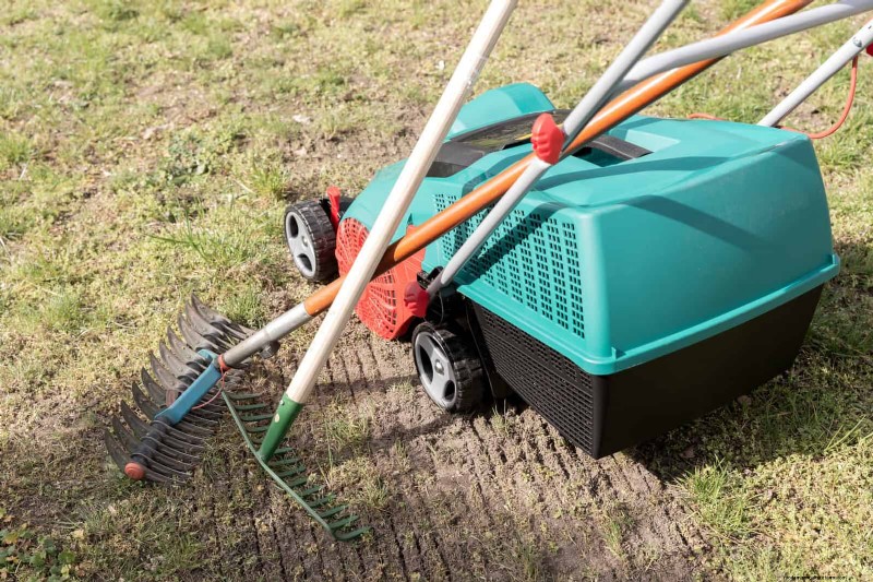 Duurzaam gazononderhoud:hittegolven en droogte overleven - tips van experts 