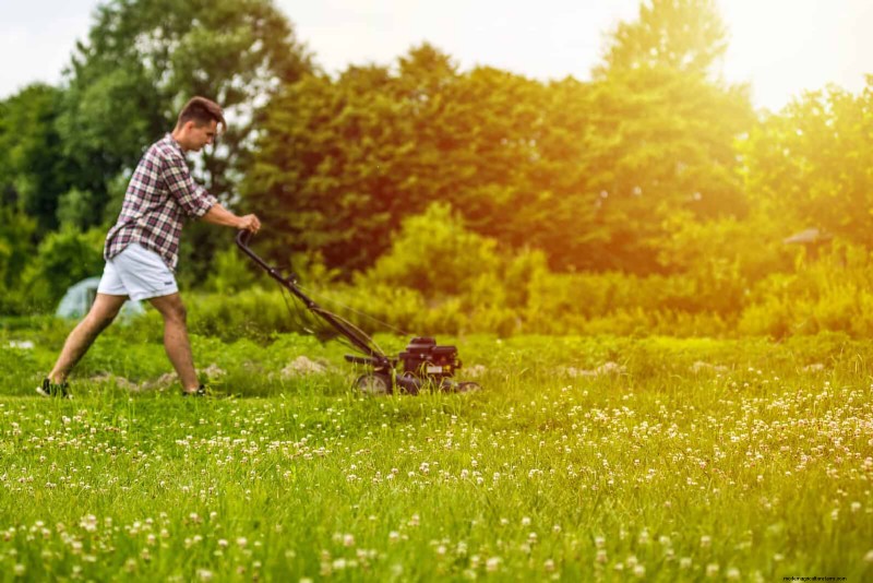 Duurzaam gazononderhoud:hittegolven en droogte overleven - tips van experts 