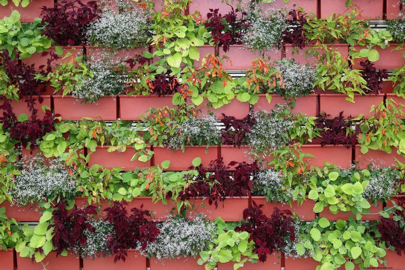 25 slimme tuinideeën voor kleine ruimtes voor maximale opbrengst 