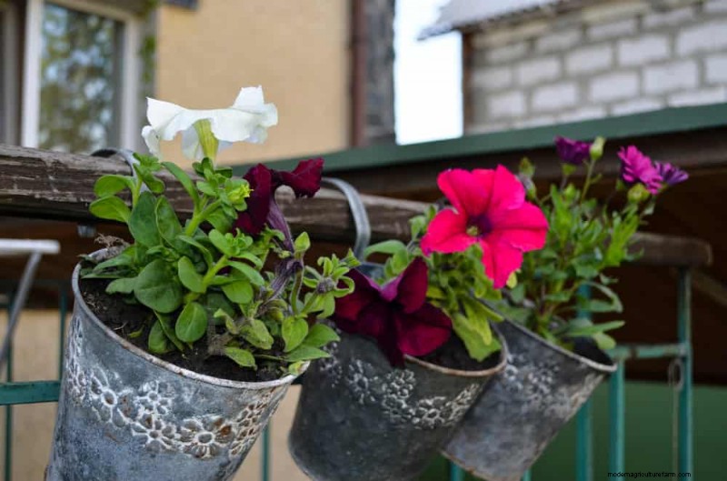 25 slimme tuinideeën voor kleine ruimtes voor maximale opbrengst 