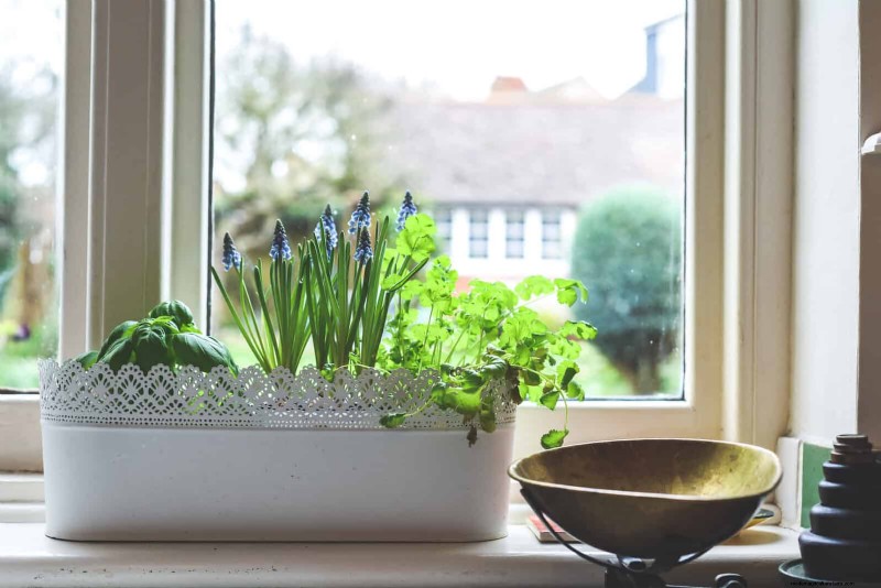 25 slimme tuinideeën voor kleine ruimtes voor maximale opbrengst 