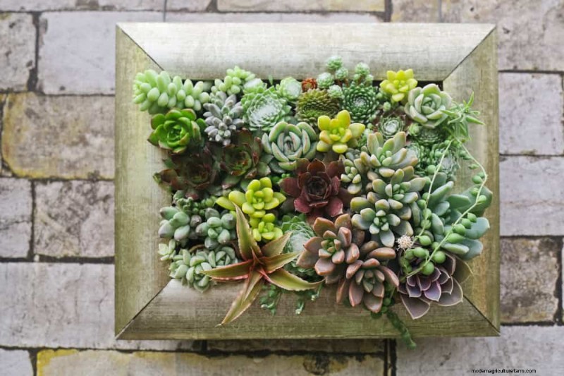 25 slimme tuinideeën voor kleine ruimtes voor maximale opbrengst 