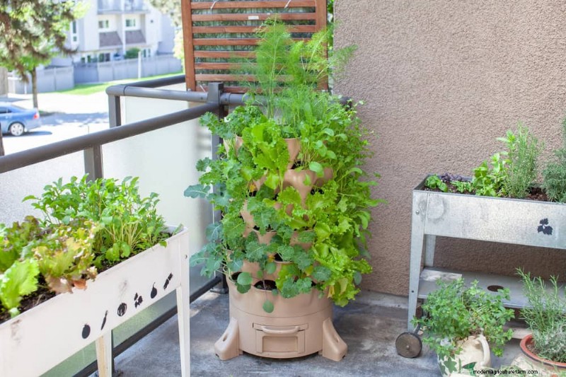 25 slimme tuinideeën voor kleine ruimtes voor maximale opbrengst 