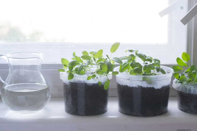25 slimme tuinideeën voor kleine ruimtes voor maximale opbrengst 