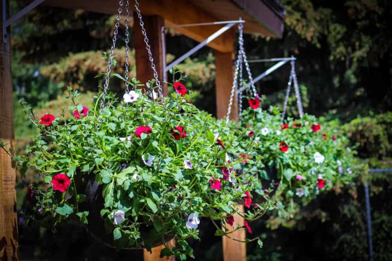 25 slimme tuinideeën voor kleine ruimtes voor maximale opbrengst 