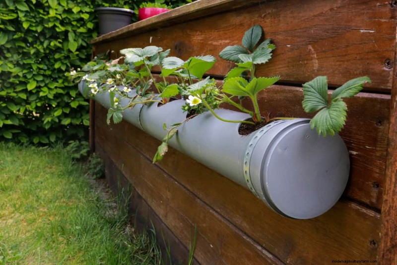 25 slimme tuinideeën voor kleine ruimtes voor maximale opbrengst 