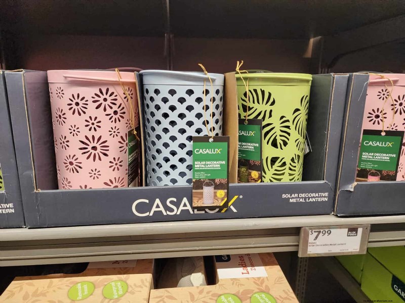 Aldi Garden Finds:30+ budgetvriendelijke decoraties en gereedschappen 
