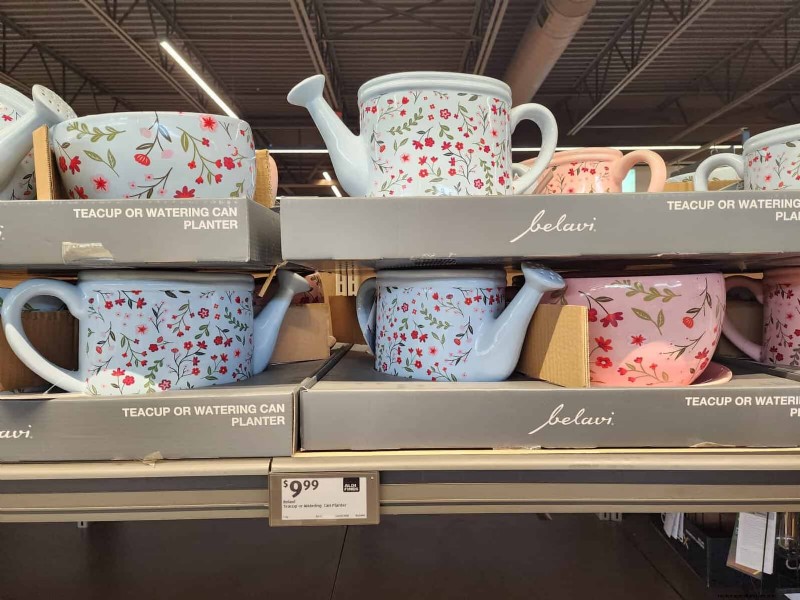Aldi Garden Finds:30+ budgetvriendelijke decoraties en gereedschappen 