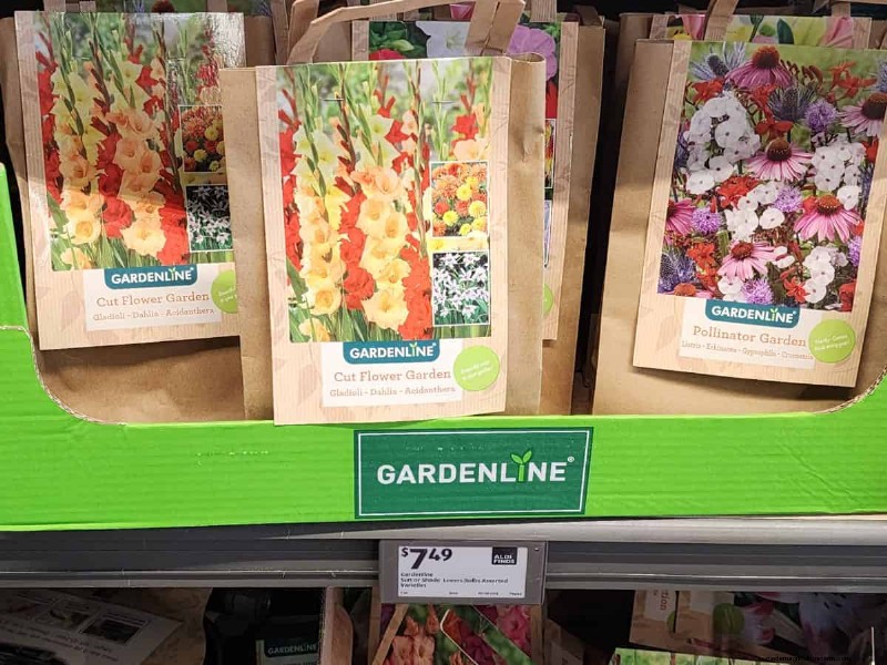Aldi Garden Finds:30+ budgetvriendelijke decoraties en gereedschappen 
