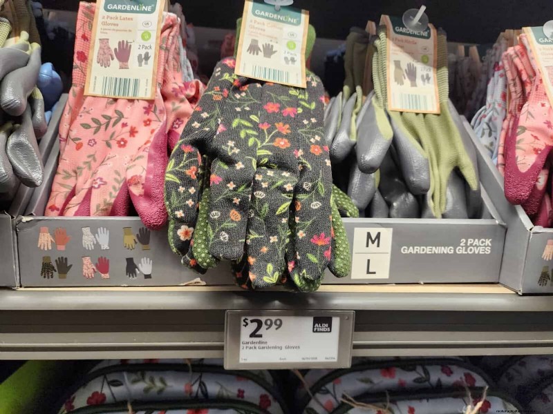Aldi Garden Finds:30+ budgetvriendelijke decoraties en gereedschappen 